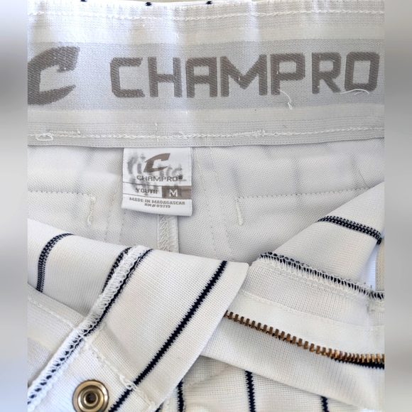 CHAMPRO Youth Striped Baseball Pants - Picture 6 of 11